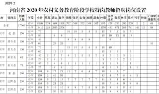 2022河南特岗教师报名入口 河南省特岗教师报名