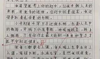 我的朋友英文作文100字 关于朋友的作文