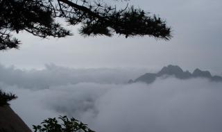 上海到黄山旅游攻略 上海到黄山旅游价格